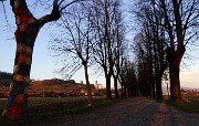 94 Il lungo viale alberato nella luce e nei colori del tramonto